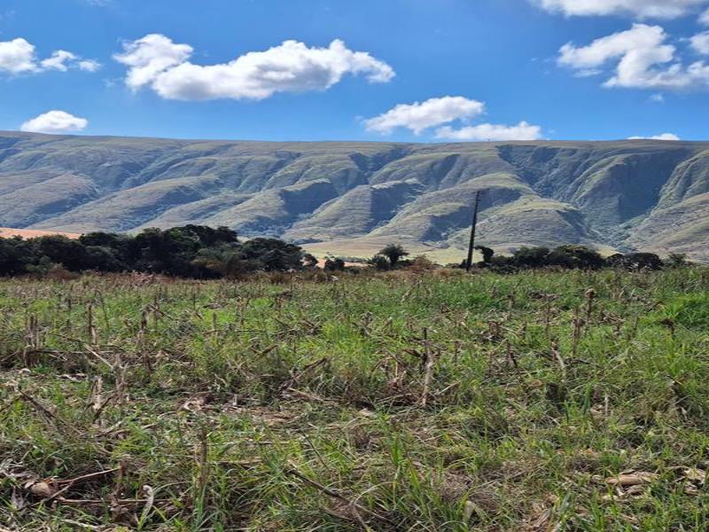 oportunidade em delfinópolis no vale da babilônia