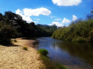 Lotes em Vargem Bonita na Canastra
